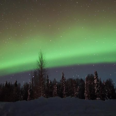 Susitna River Lodging, Backwoods Cabins Талкитна Екстериор снимка