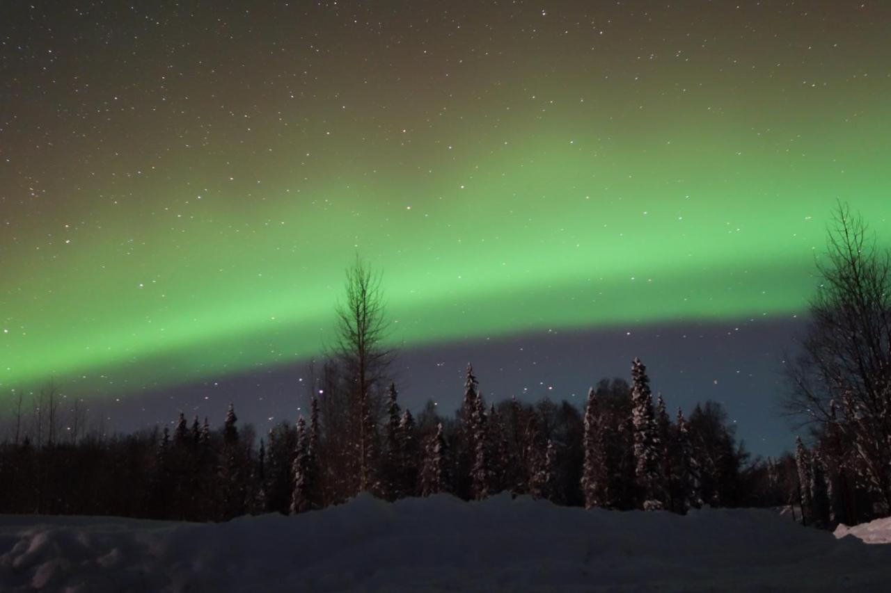 Susitna River Lodging, Backwoods Cabins Талкитна Екстериор снимка